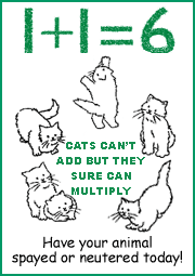 Gatos no pueden sumar pero pueden multiplicarse