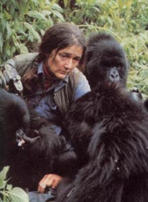 Dian Fossey y sus gorilas de Virunga