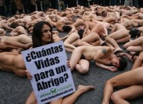Sin Piel España 2006 Sin Piel España 2006