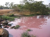 contaminacion en ranipet (india)